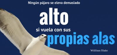 avanzar gracias a la cooperacion Cita de William Blake sobre volar con sus propias alas con imagen de una gaviota en vuelo