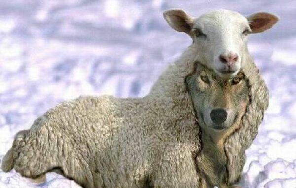Personas tóxicas, lobos con piel de cordero que generan malestar y dolor a su alrededor. Divide y vencerás, el fin justifica los medio,...