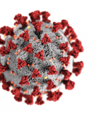 Liderar en situaciones críticas: pandemia mundial coronavirus