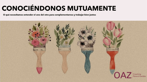 complementariedad - gestion diversidad