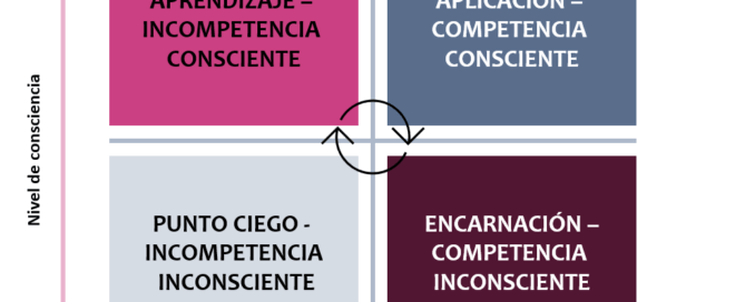 Escalera de aprendizaje | desarrollo personal y profesional