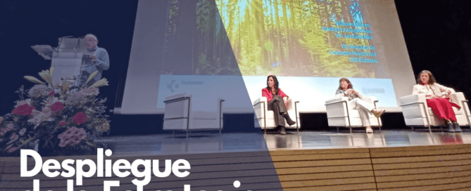 Despliegue Estrategia Cuidados Paliativos Euskadi