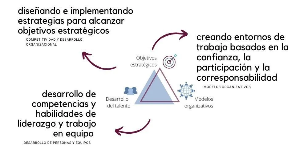 Liderazgo y equipos | OAZ Coaching para el cambio
