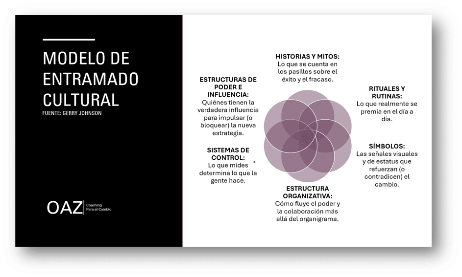 La cultura es el resultado vivo de poner en práctica ese propósito y esos valores cada día; es el “ADN” del centro, la historia que nos contamos sobre quiénes somos y cómo nos gusta hacer las cosas.